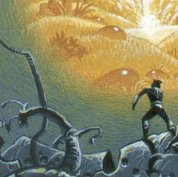 Les paradis piégés